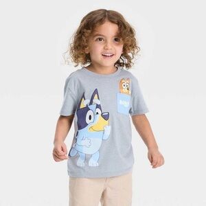 Gray 4T T-Shirt with Bluey Bingo Characters